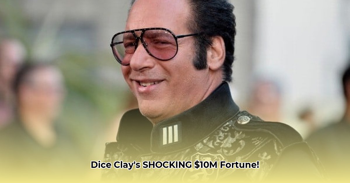 diceman-net-worth